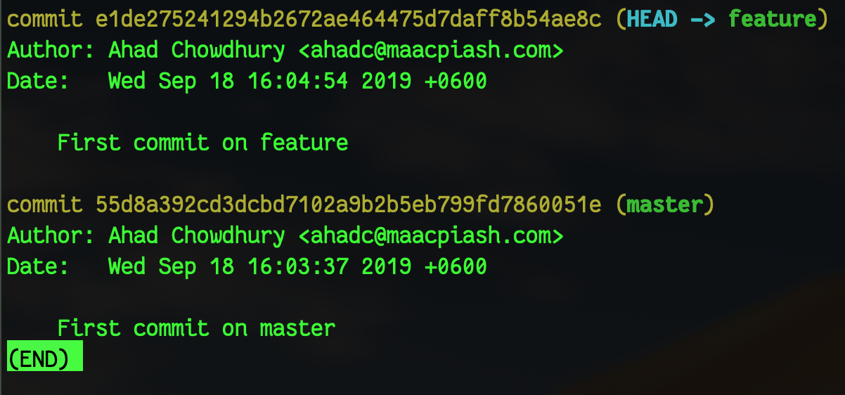 git log on feature