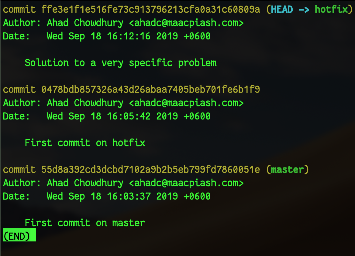 git log on hotfix